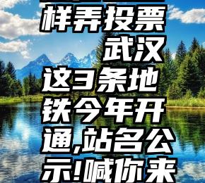 微信上怎样弄投票   武汉这3条地铁今年开通,站名公示!喊你来投票