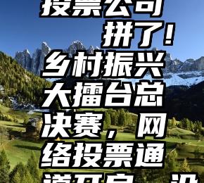 网络微信投票公司   拼了!乡村振兴大擂台总决赛，网络投票通道开启，没你不行