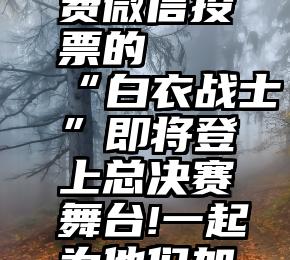 有没有免费微信投票的   “白衣战士”即将登上总决赛舞台!一起为他们加油点赞吧!