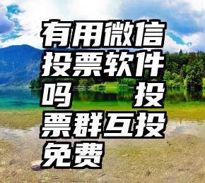 有用微信投票软件吗   投票群互投免费