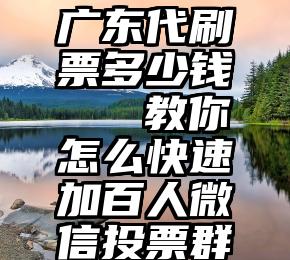 广东代刷票多少钱   教你怎么快速加百人微信投票群