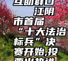 微信投票互助群口   江阴市首届“十大法治标兵”决赛开始,投票火热进行中!