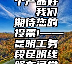 投票网哪个产品好   我们期待您的投票!——昆明工务段昆明线路车间党总支