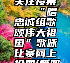 微信强行关注投票   “唱忠诚组歌颂伟大祖国”歌咏比赛网上投票(第四天投票)