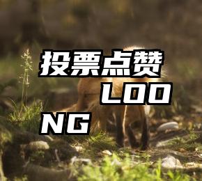 投票点赞   LOONG