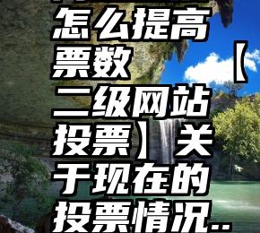 网络投票怎么提高票数   【二级网站投票】关于现在的投票情况..小电哥...