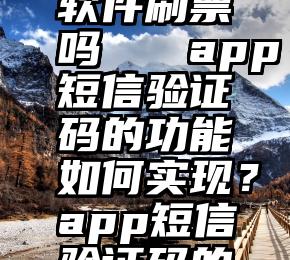 微信公众号刷票是软件刷票吗   app短信验证码的功能如何实现？app短信验证码的功能如何实现？