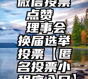 微信投票 点赞   理事会换届选举投票【匿名投票小程序入口】