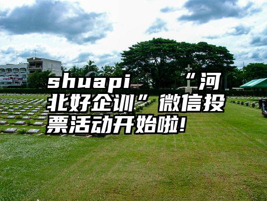 shuapi   “河北好企训”微信投票活动开始啦!