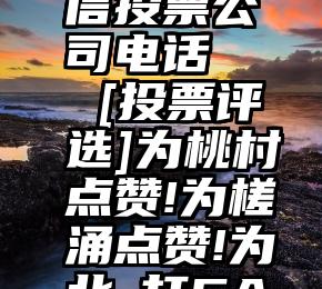 商丘市微信投票公司电话   [投票评选]为桃村点赞!为槎涌点赞!为北滘打CALL!