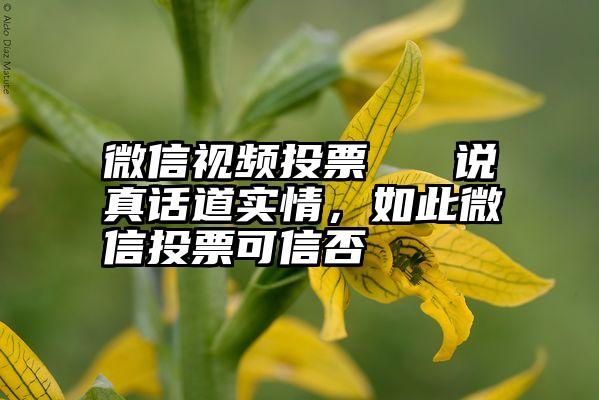 微信视频投票   说真话道实情，如此微信投票可信否