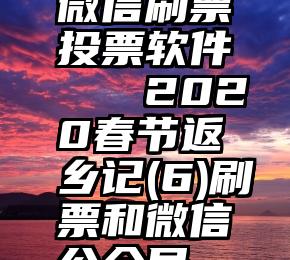 微信刷票投票软件   2020春节返乡记(6)刷票和微信公众号