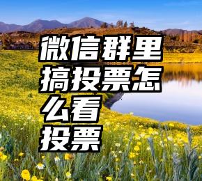 微信群里搞投票怎么看   投票