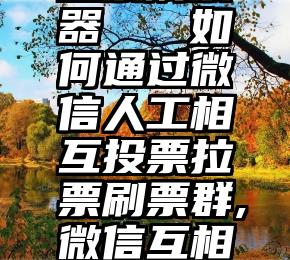 微信选手投票刷票器   如何通过微信人工相互投票拉票刷票群,微信互相投票微信群互投