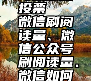 甚么软件可以帮助投票   微信刷阅读量、微信公众号刷阅读量、微信如何刷阅读量的方法