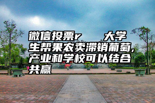 微信投票r   大学生帮果农卖滞销葡萄,产业和学校可以结合共赢