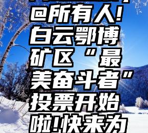 微信平台刷票   【网络投票】@所有人!白云鄂博矿区“最美奋斗者”投票开始啦!快来为你心中的候选人打call!