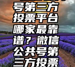 刷票群   微信公共号第三方投票平台哪家最靠谱？微信公共号第三方投票平台哪家最靠谱？