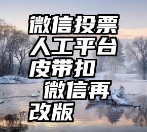 微信投票人工平台 皮带扣   微信再改版