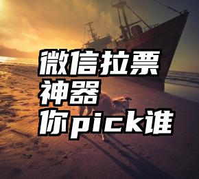 微信拉票神器   你pick谁