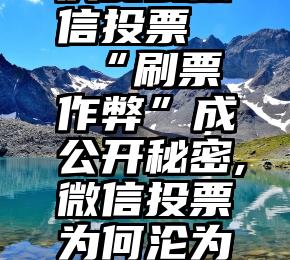 庆安县微信投票   “刷票作弊”成公开秘密,微信投票为何沦为鸡肋