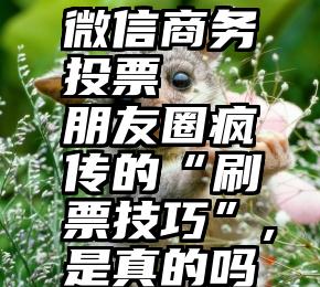 微信商务投票   朋友圈疯传的“刷票技巧”,是真的吗