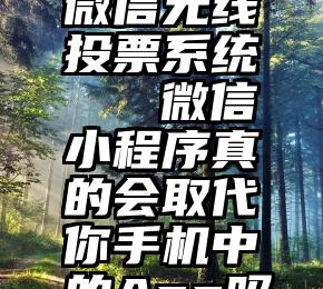 微信无线投票系统   微信小程序真的会取代你手机中的App吗