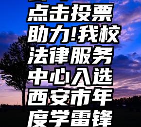 app投票公司   点击投票助力!我校法律服务中心入选西安市年度学雷锋志愿服务“四...