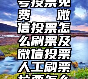 微信订阅号投票免费   微信投票怎么刷票及微信投票人工刷票拉票怎么操作