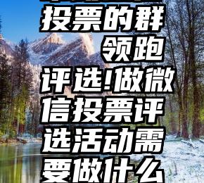 帮助微信投票的群   领跑评选!做微信投票评选活动需要做什么准备工作