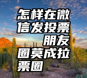 怎样在微信发投票   朋友圈莫成拉票圈