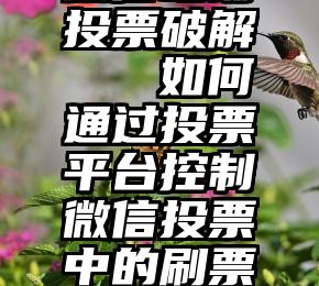 微信旺铺投票破解   如何通过投票平台控制微信投票中的刷票行为