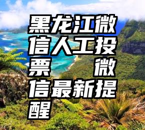 黑龙江微信人工投票   微信最新提醒