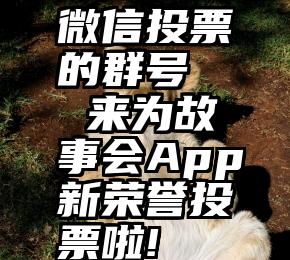 微信投票的群号   来为故事会App新荣誉投票啦!