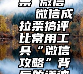 人工 投票 微信   微信成拉票搞评比常用工具“微信攻略”背后的道德拷问