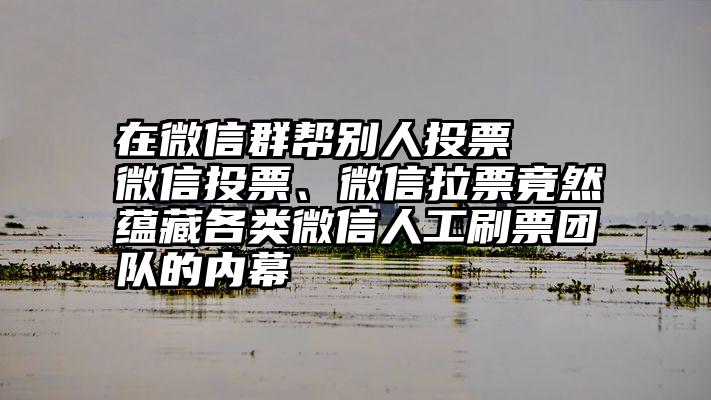 在微信群帮别人投票   微信投票、微信拉票竟然蕴藏各类微信人工刷票团队的内幕