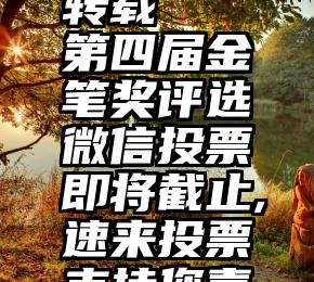 微信公众号 投票转载   第四届金笔奖评选微信投票即将截止,速来投票支持您喜爱的作者及作品!