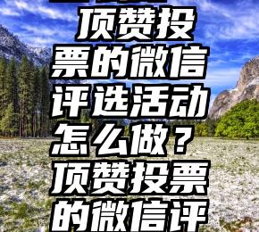 投票系统怎么做   顶赞投票的微信评选活动怎么做？顶赞投票的微信评选活动怎么做？