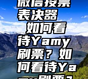 微信投票表决器   如何看待Yamy刷票？如何看待Yamy刷票？