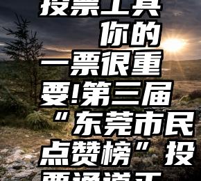 微信视频投票工具   你的一票很重要!第三届“东莞市民点赞榜”投票通道正式开启