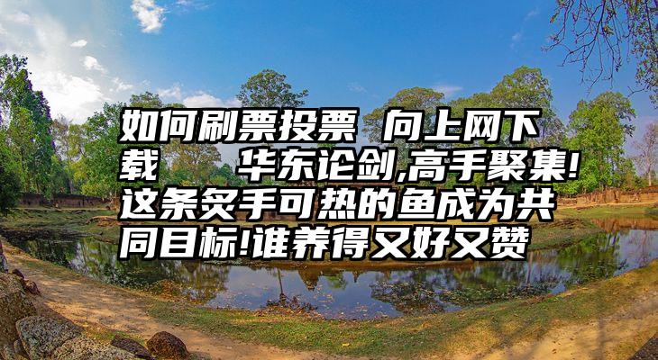 如何刷票投票 向上网下载   华东论剑,高手聚集!这条炙手可热的鱼成为共同目标!谁养得又好又赞