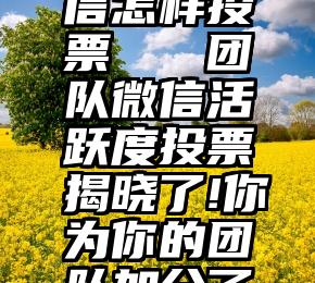 华鼎奖微信怎样投票   团队微信活跃度投票揭晓了!你为你的团队加分了吗