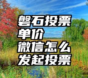 磐石投票单价   微信怎么发起投票