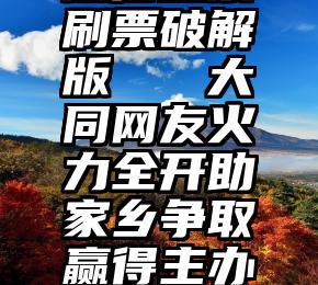 微信投票刷票破解版   大同网友火力全开助家乡争取赢得主办权