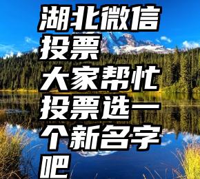 湖北微信投票   大家帮忙投票选一个新名字吧