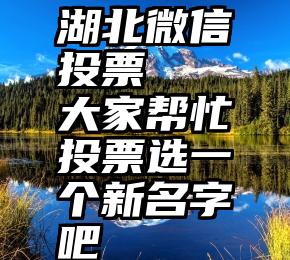 湖北微信投票   大家帮忙投票选一个新名字吧