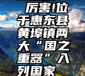 鹤壁市人工投票   厉害!位于惠东县黄埠镇两大“国之重器”入列国家“十四五”规划