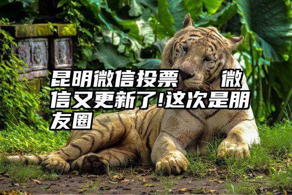 昆明微信投票   微信又更新了!这次是朋友圈