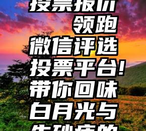 诚信服务投票报价   领跑微信评选投票平台!带你回味白月光与朱砂痣的时代