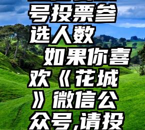 微信公众号投票参选人数   如果你喜欢《花城》微信公众号,请投票点赞吧